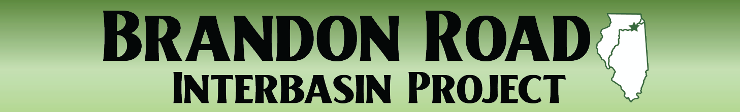 BRIP Header.png